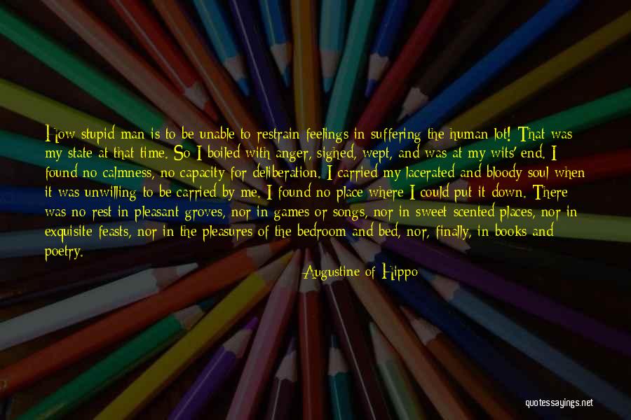 How Stupid I Was Quotes By Augustine Of Hippo How Stupid I Was Quotes By Augustine Of Hippo