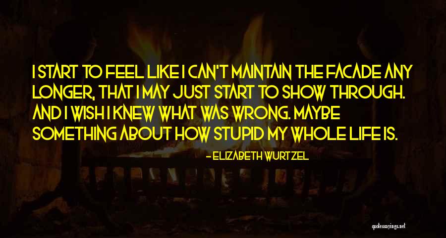 How Stupid I Was Quotes By Elizabeth Wurtzel How Stupid I Was Quotes By Elizabeth Wurtzel