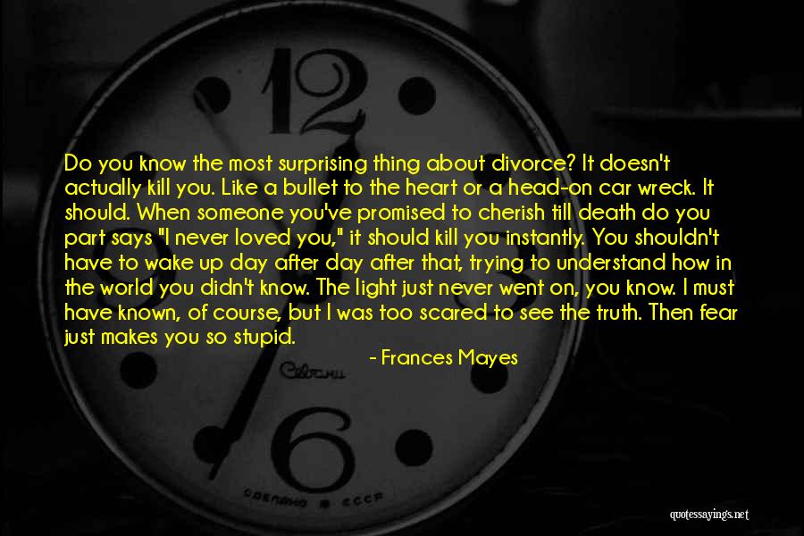 How Stupid I Was Quotes By Frances Mayes How Stupid I Was Quotes By Frances Mayes