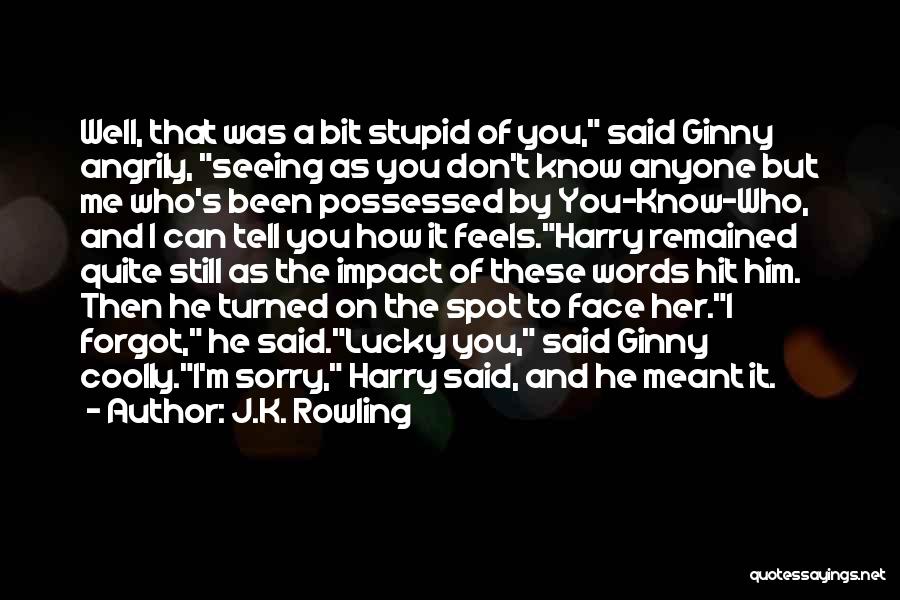 How Stupid Of Me Quotes By J.K. Rowling