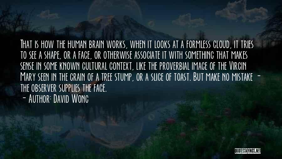 How The Brain Works Quotes By David Wong