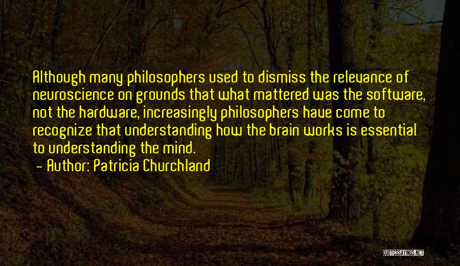 How The Brain Works Quotes By Patricia Churchland