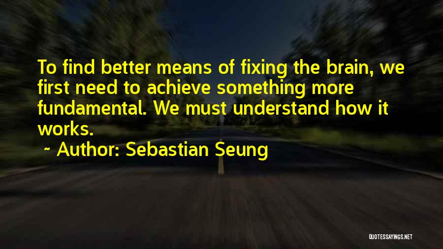 How The Brain Works Quotes By Sebastian Seung