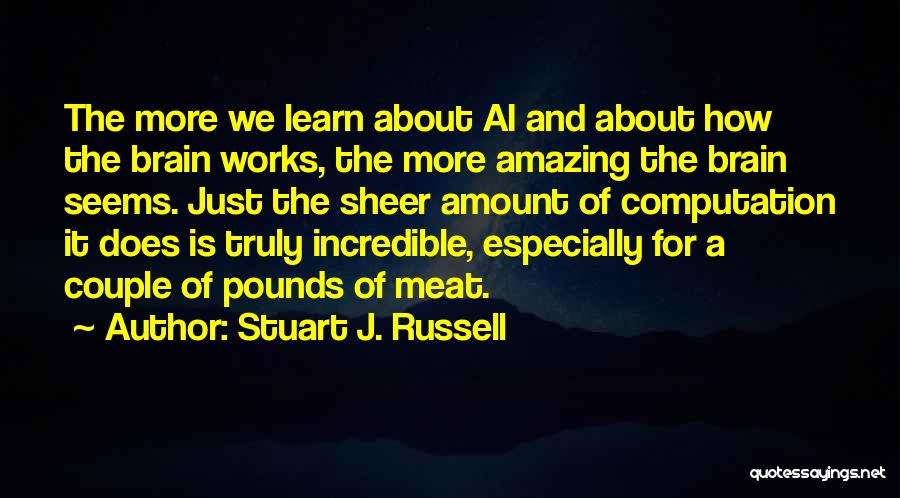 How The Brain Works Quotes By Stuart J. Russell