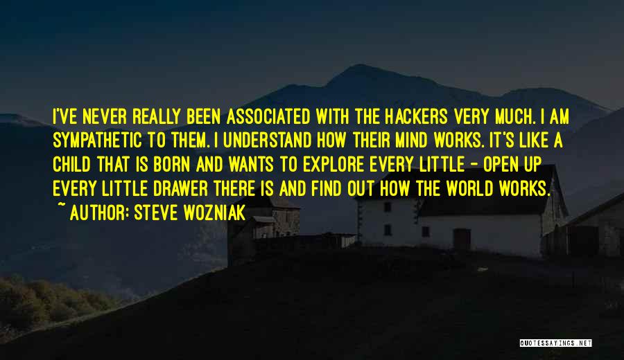 How The World Works Quotes By Steve Wozniak