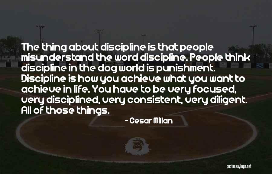 How To Achieve Quotes By Cesar Millan How To Achieve Quotes By Cesar Millan