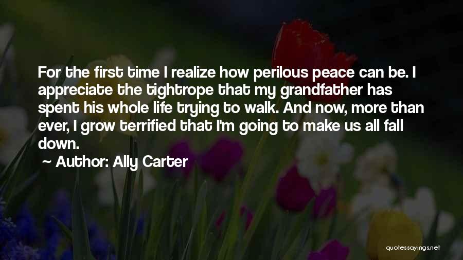 How To Appreciate Life Quotes By Ally Carter