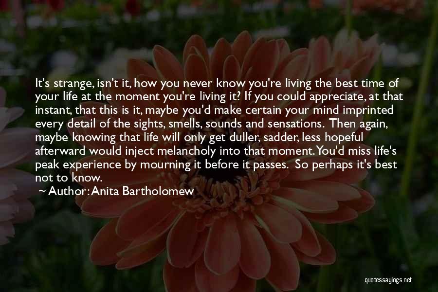 How To Appreciate Life Quotes By Anita Bartholomew