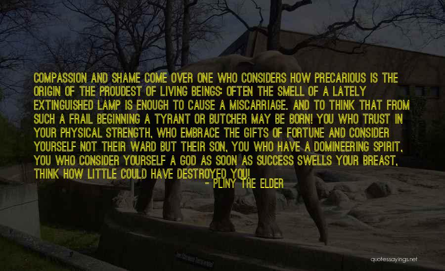 How To Be A Tyrant Quotes By Pliny The Elder How To Be A Tyrant Quotes By Pliny The Elder