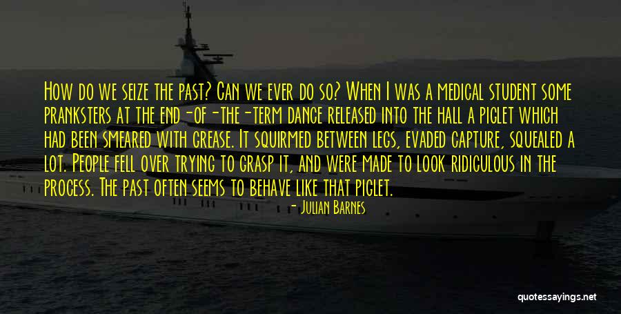 How To Behave Quotes By Julian Barnes How To Behave Quotes By Julian Barnes