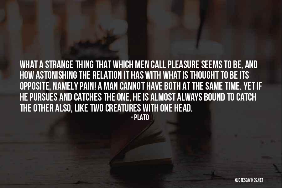 How To Catch A Man Quotes By Plato How To Catch A Man Quotes By Plato