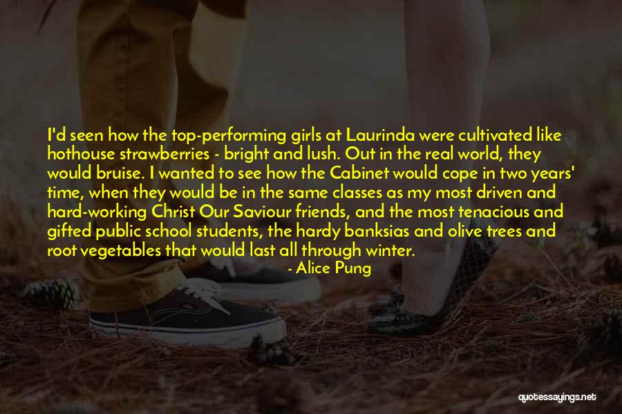 How To Cope Quotes By Alice Pung How To Cope Quotes By Alice Pung