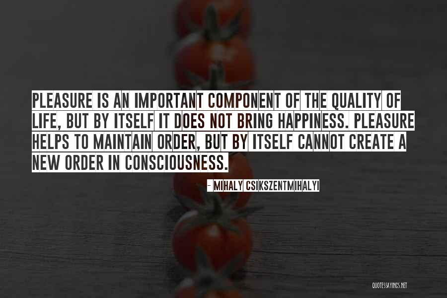 How To Create Happiness Quotes By Mihaly Csikszentmihalyi How To Create Happiness Quotes By Mihaly Csikszentmihalyi