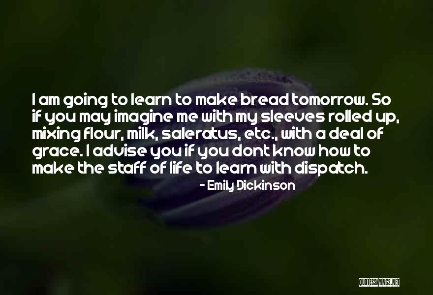 How To Deal With Life Quotes By Emily Dickinson How To Deal With Life Quotes By Emily Dickinson