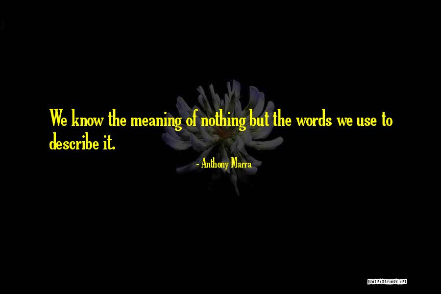 How To Describe Knowledge Quotes By Anthony Marra How To Describe Knowledge Quotes By Anthony Marra