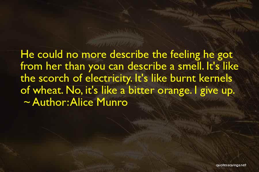 How To Describe Yourself Quotes By Alice Munro