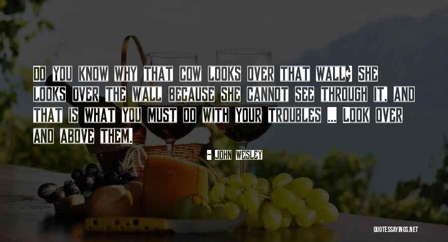 How To Do Your Own Wall Quotes By John Wesley How To Do Your Own Wall Quotes By John Wesley