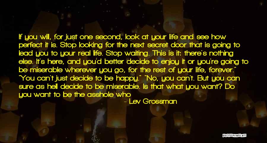 How To Enjoy Life Quotes By Lev Grossman