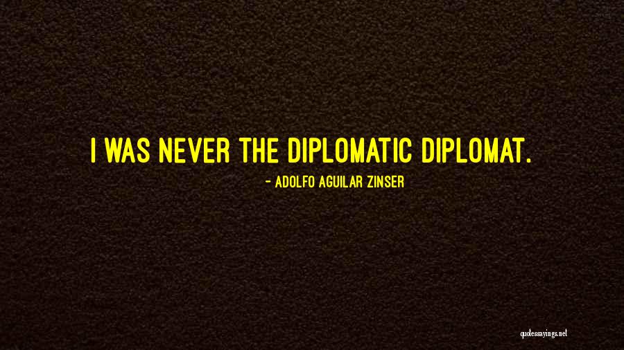 How To Find Public Domain Quotes By Adolfo Aguilar Zinser How To Find Public Domain Quotes By Adolfo Aguilar Zinser