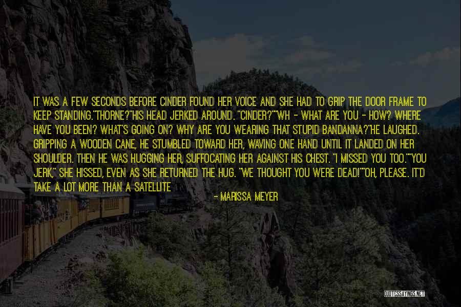 How To Frame Quotes By Marissa Meyer How To Frame Quotes By Marissa Meyer