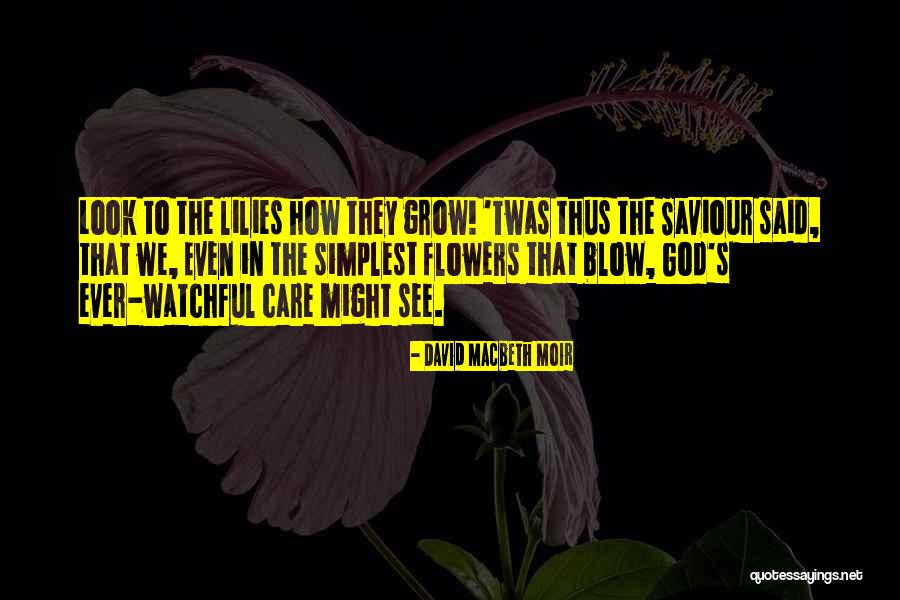 How To Grow Quotes By David Macbeth Moir How To Grow Quotes By David Macbeth Moir