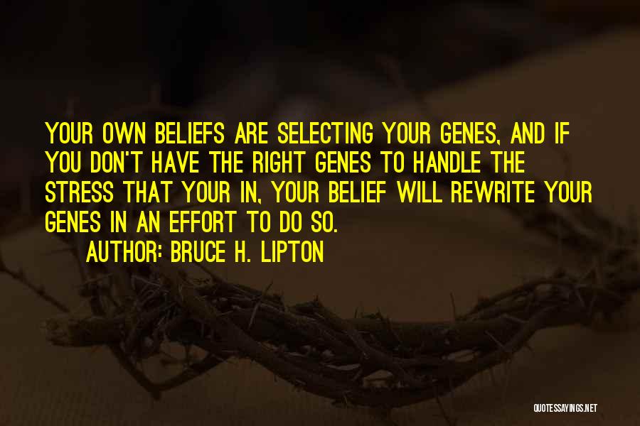 How To Handle Stress Quotes By Bruce H. Lipton