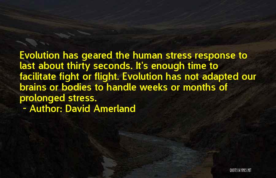 How To Handle Stress Quotes By David Amerland