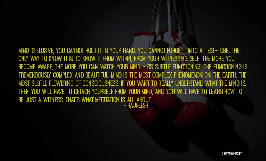 How To Have A Beautiful Mind Quotes By Rajneesh How To Have A Beautiful Mind Quotes By Rajneesh