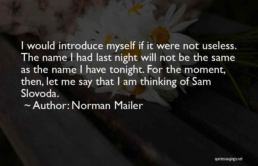 How To Introduce Yourself Quotes By Norman Mailer