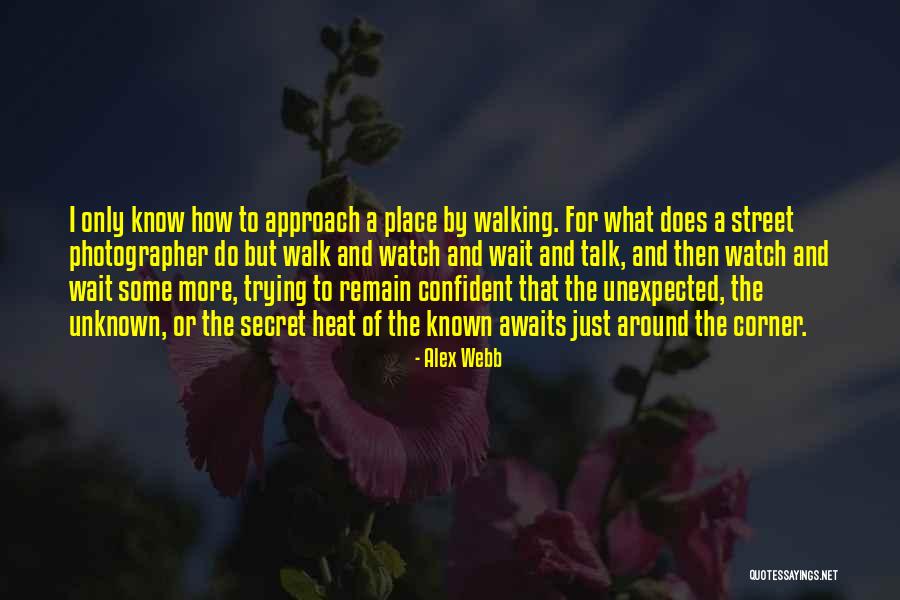 How To Know What To Do Quotes By Alex Webb How To Know What To Do Quotes By Alex Webb