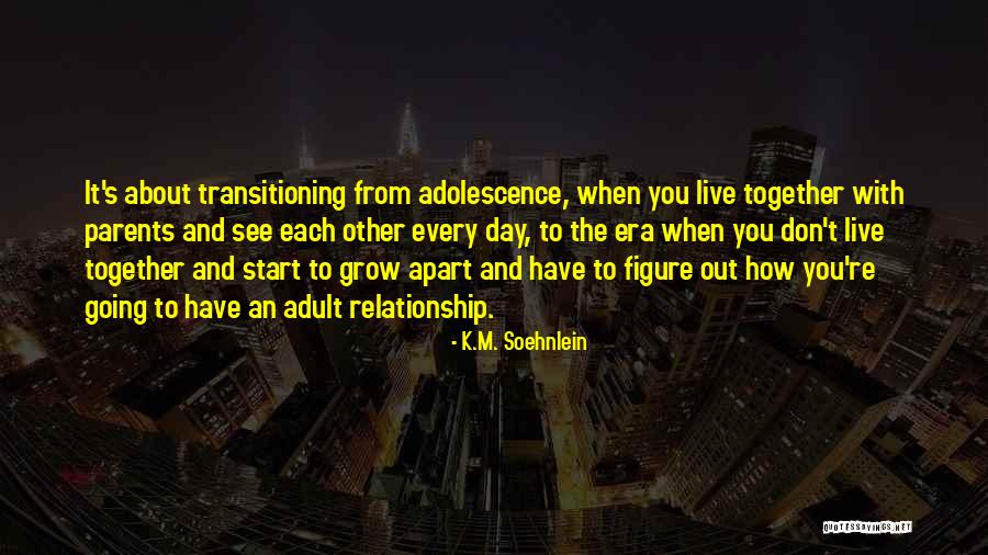 How To Live Each Day Quotes By K.M. Soehnlein