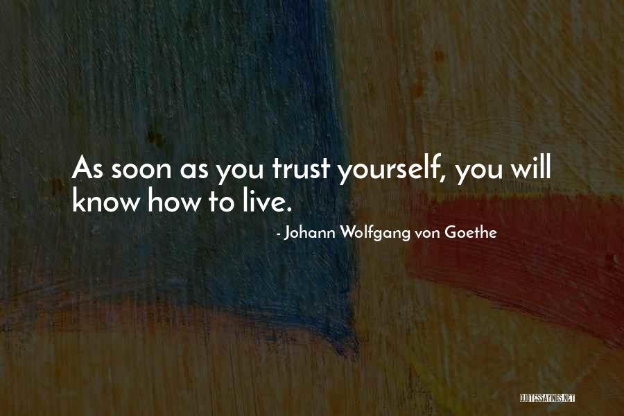How To Live Life Quotes By Johann Wolfgang Von Goethe How To Live Life Quotes By Johann Wolfgang Von Goethe