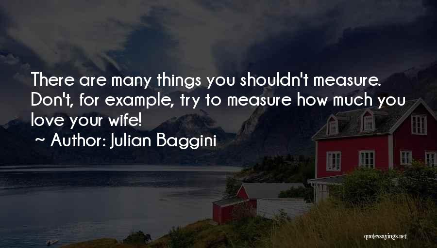 How To Love Your Wife Quotes By Julian Baggini