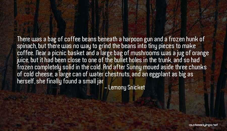 How To Make A Jar Of Quotes By Lemony Snicket How To Make A Jar Of Quotes By Lemony Snicket