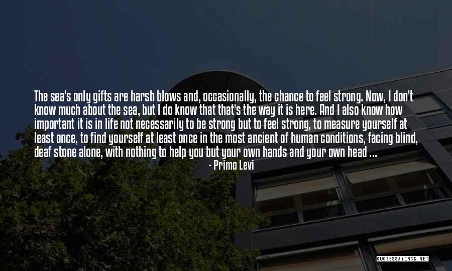 How To Measure Your Life Quotes By Primo Levi How To Measure Your Life Quotes By Primo Levi