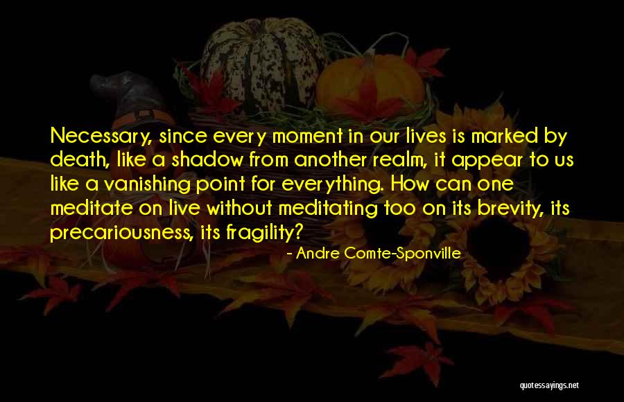 How To Meditate Quotes By Andre Comte-Sponville