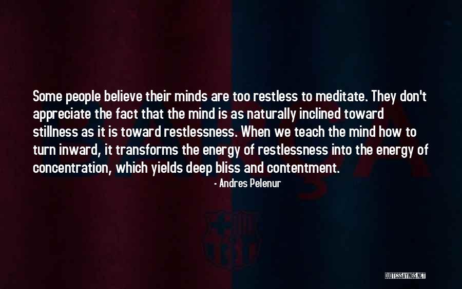 How To Meditate Quotes By Andres Pelenur