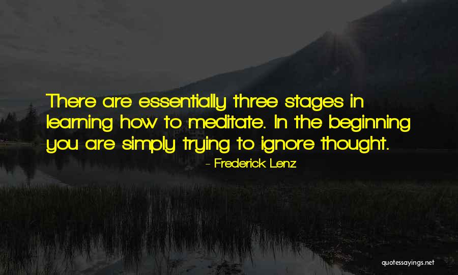 How To Meditate Quotes By Frederick Lenz