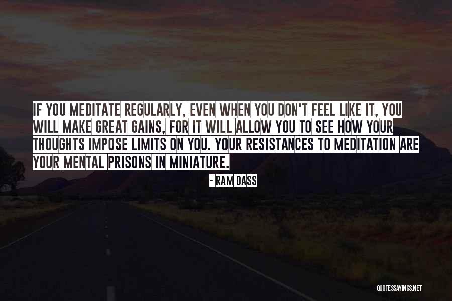 How To Meditate Quotes By Ram Dass