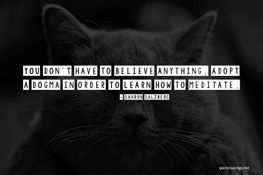 How To Meditate Quotes By Sharon Salzberg