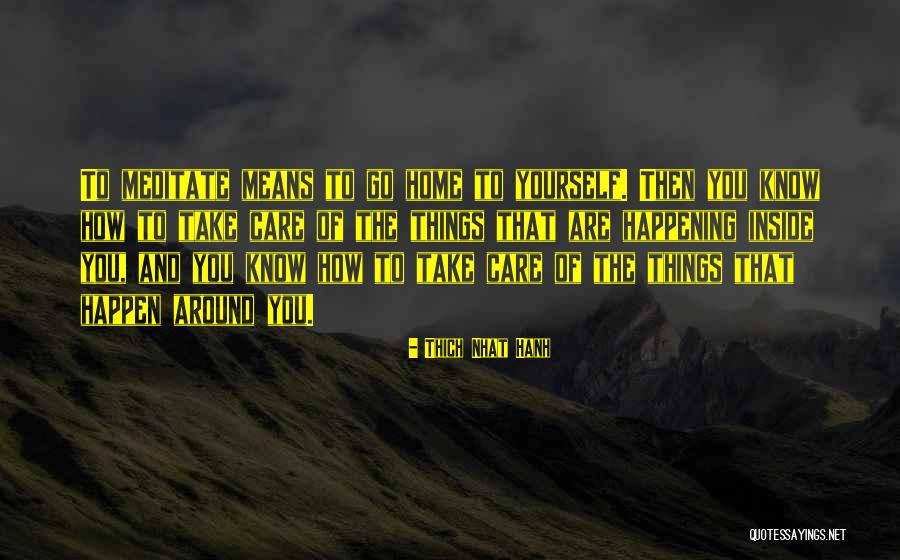 How To Meditate Quotes By Thich Nhat Hanh