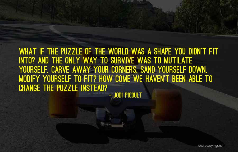 How To Modify Quotes By Jodi Picoult How To Modify Quotes By Jodi Picoult