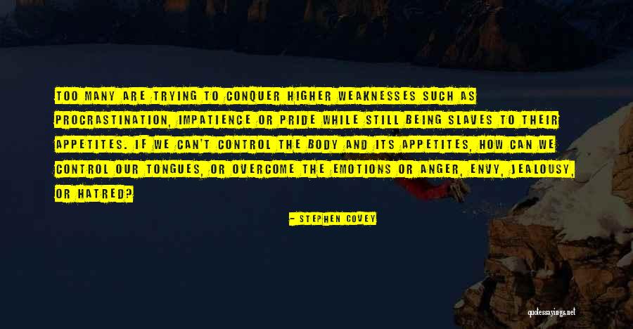 How To Overcome Procrastination Quotes By Stephen Covey How To Overcome Procrastination Quotes By Stephen Covey