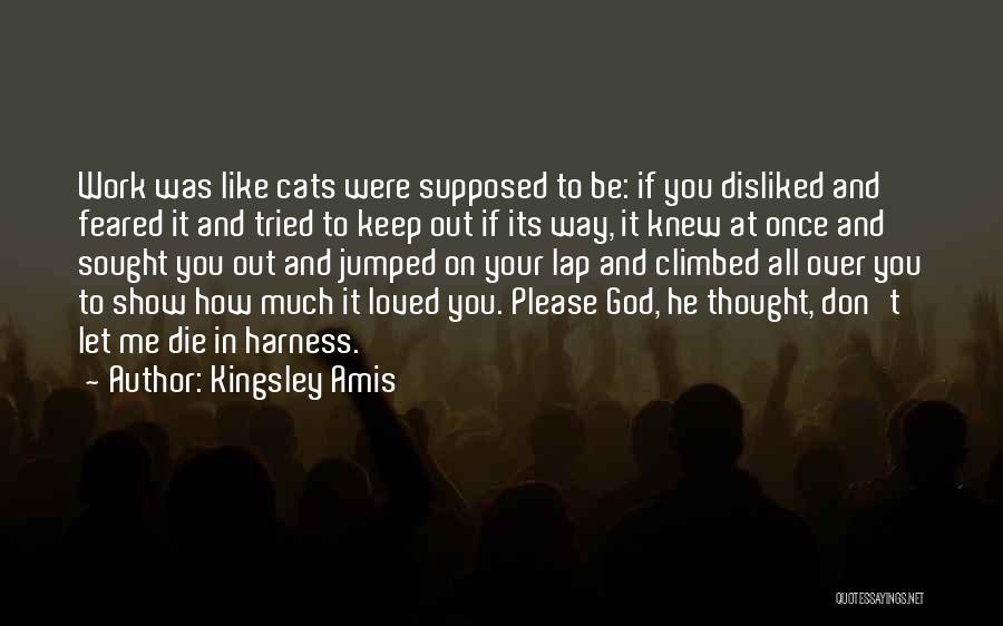 How To Please God Quotes By Kingsley Amis