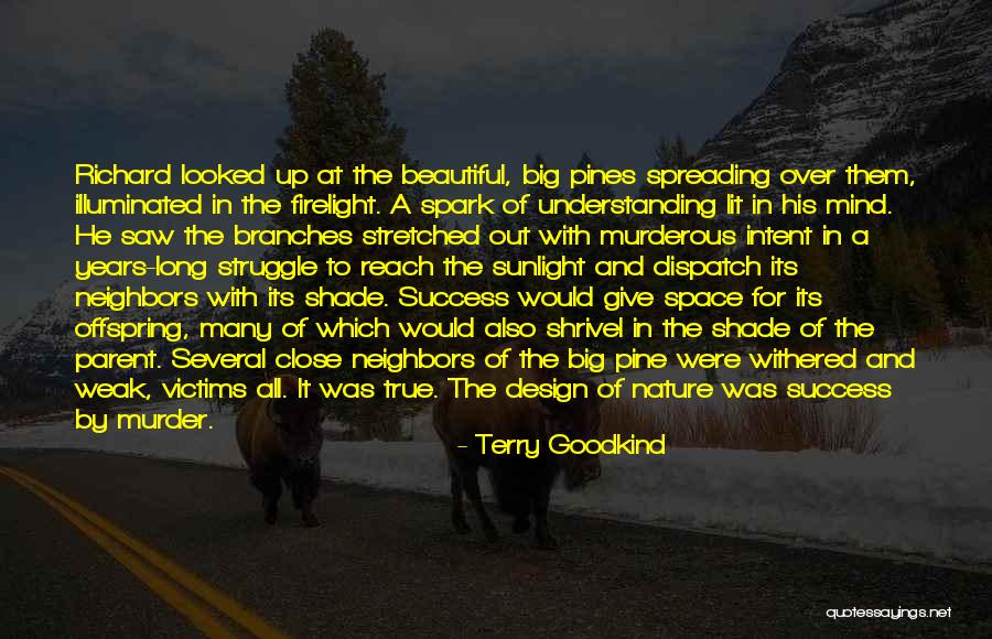 How To Reach Success Quotes By Terry Goodkind How To Reach Success Quotes By Terry Goodkind