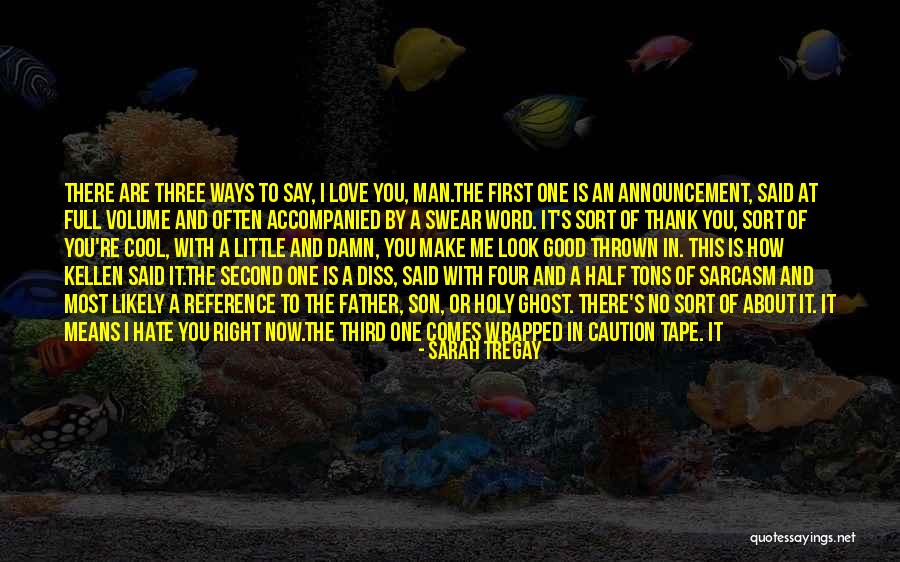 How To Reference Quotes By Sarah Tregay How To Reference Quotes By Sarah Tregay