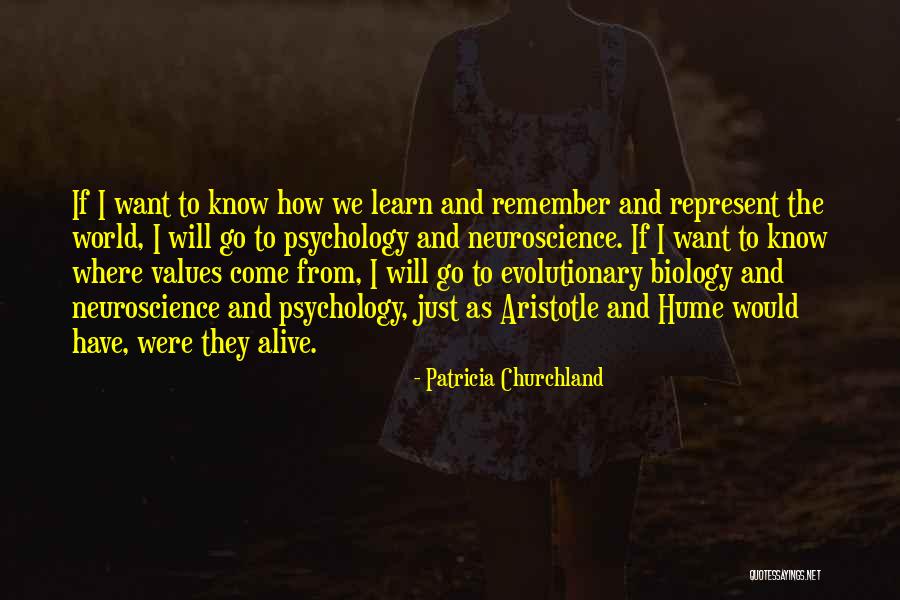 How To Represent Quotes By Patricia Churchland How To Represent Quotes By Patricia Churchland