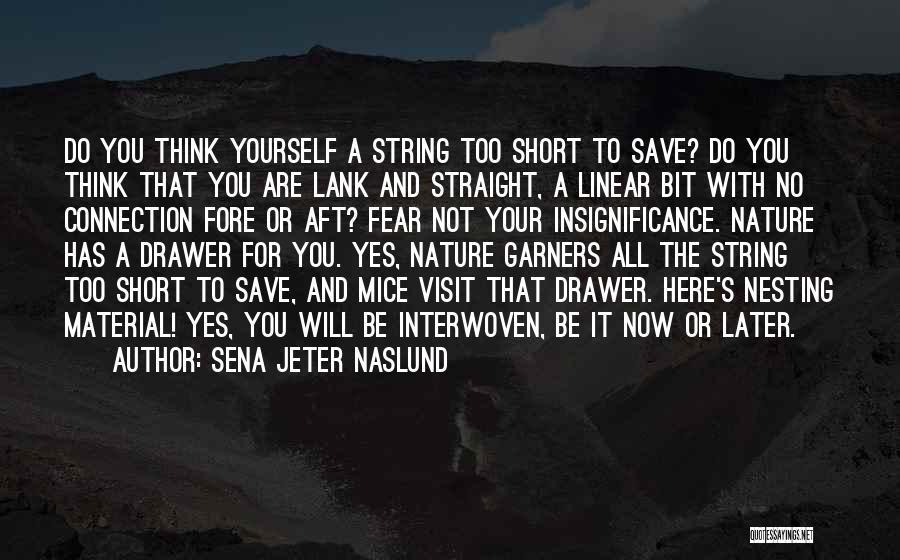 How To Save Nature Quotes By Sena Jeter Naslund