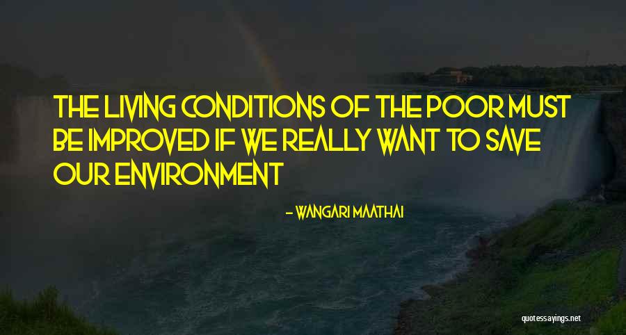 How To Save Our Environment Quotes By Wangari Maathai How To Save Our Environment Quotes By Wangari Maathai