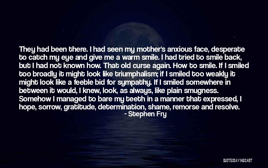 How To Smile Again Quotes By Stephen Fry